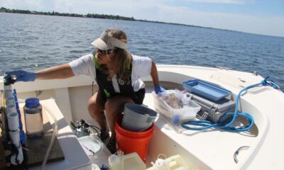 Filtering water samples