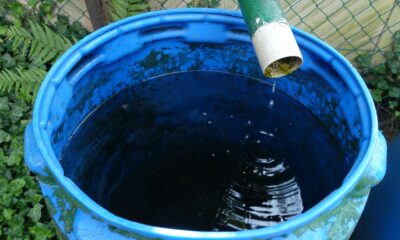 Rainwater-collection-drum