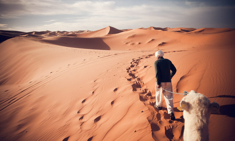 'Sahara Guide', Morocco, Merzouga, Erg Chebbi, Sahara Desert