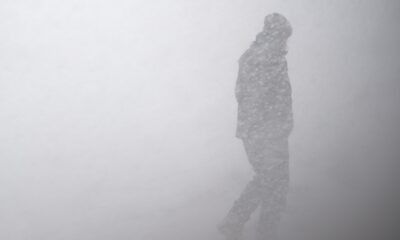 Surviving a blizzard