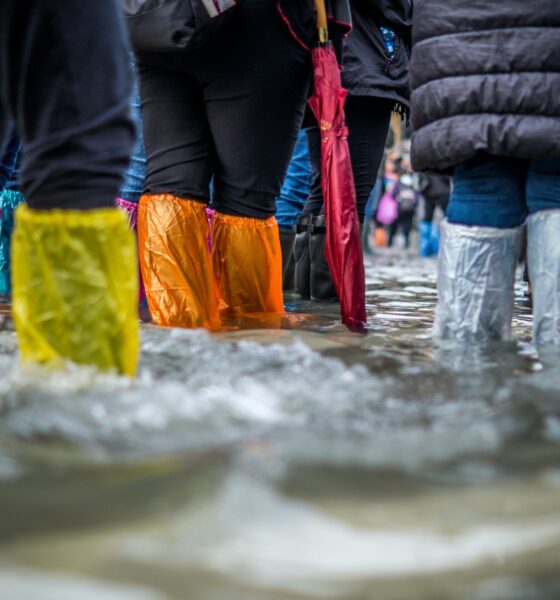 Photo by Jonathan Ford on Unsplash