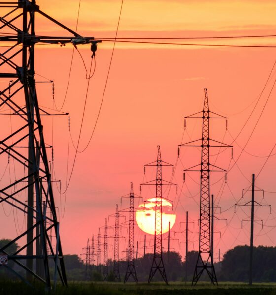 Photo by Andrey Metelev on Unsplash